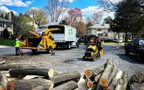 Best Storm Damage Tree Cleanup  in Fairfield Plantation, GA