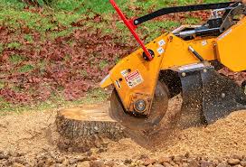 Best Seasonal Cleanup (Spring/Fall)  in Fairfield Plantation, GA